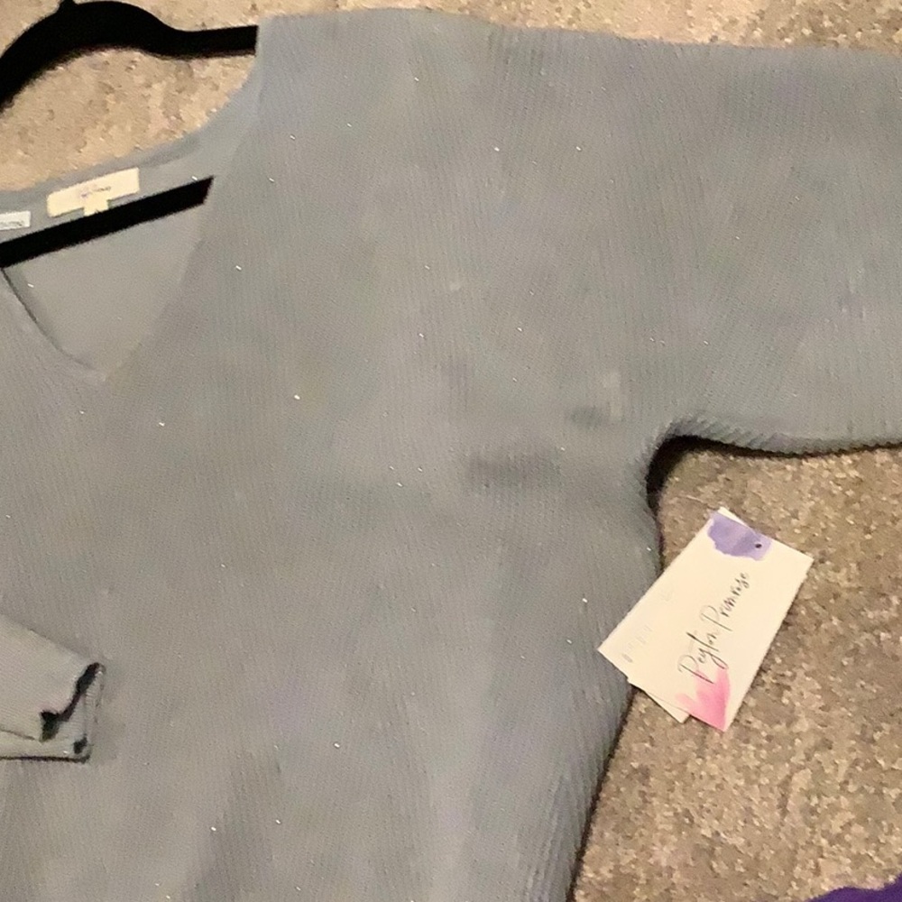 🌟Host PickPlus Size Peyton Primrose 1X Soft Grey Sparkly Textured Pullover - Picture 6 of 10